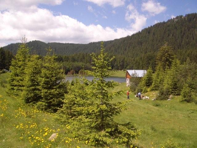 bulgarian countryside