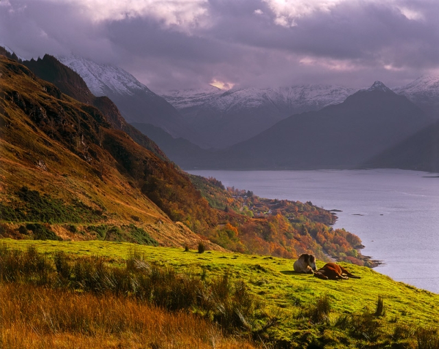 nature landscape mountains