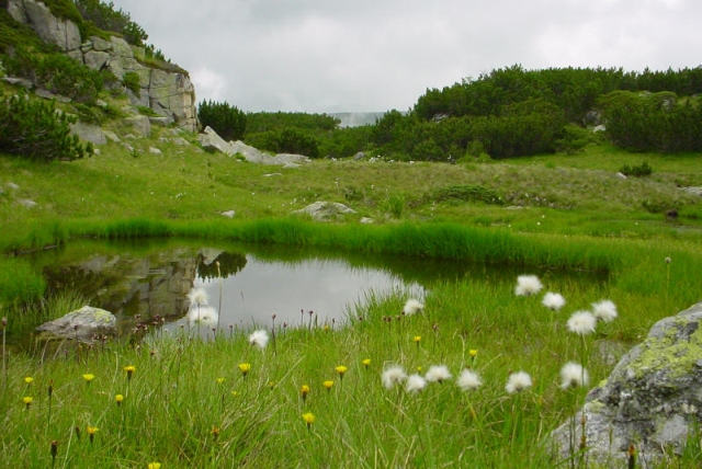 bulgarian mountains