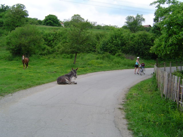 Bulgarian rural roads