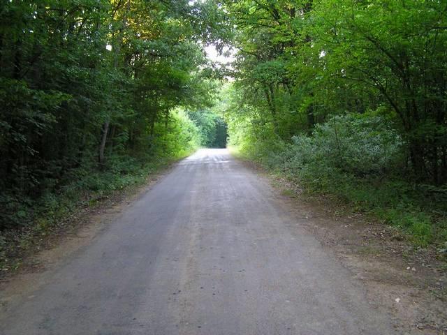 bulgarian country roads