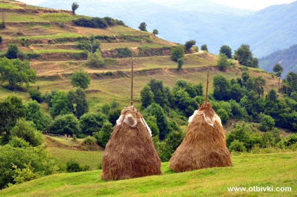 green hills and hey