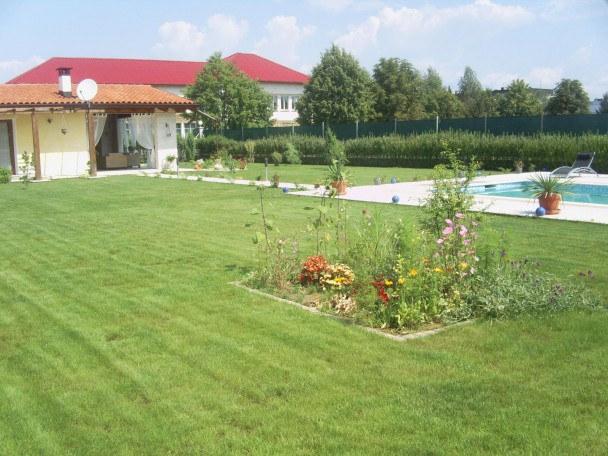 luxury house with swimming pool