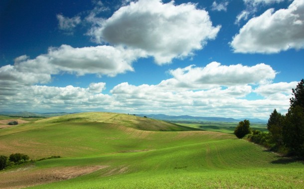 agricultural fields