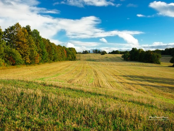 agricultural fields