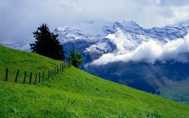 green meadow mountains