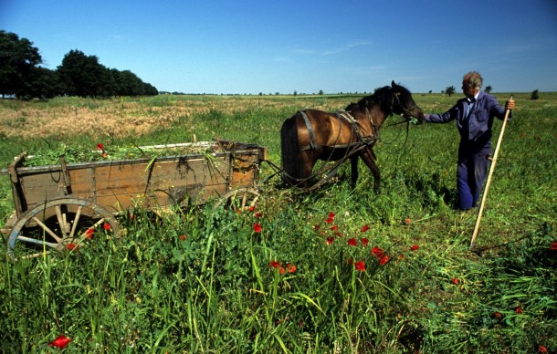 Bulgaria rural farmer