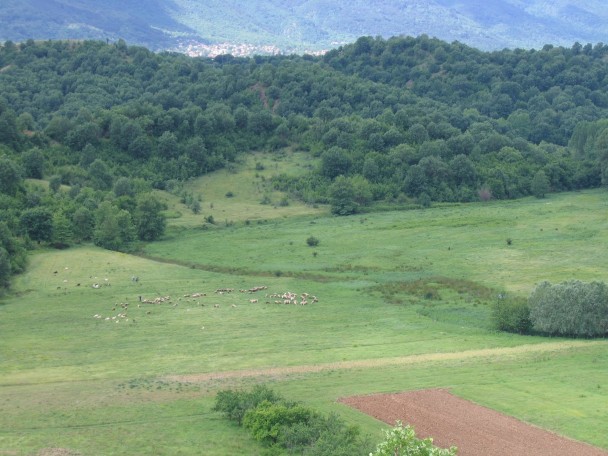 Agricultural land in Bulgaria