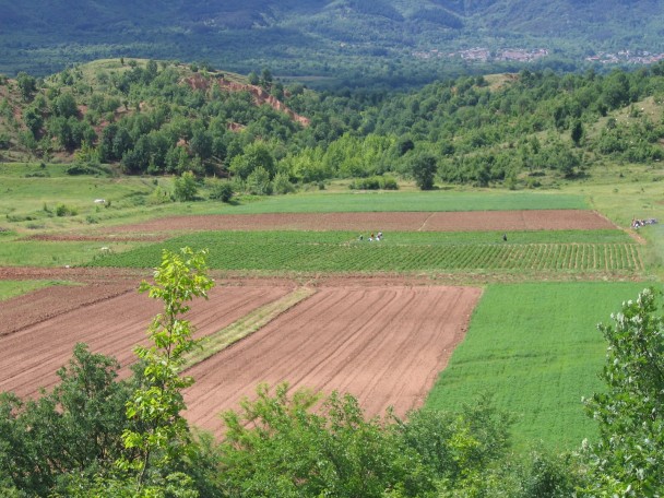 agriculture in Bulgaria