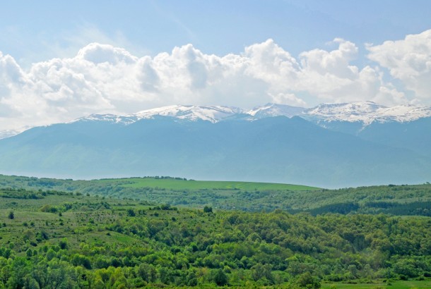 green countryside in Bulgaria