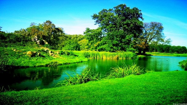 green fields by the river