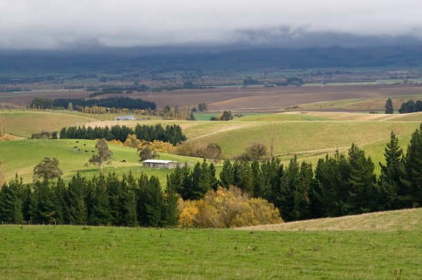 green fields in Bulgaria